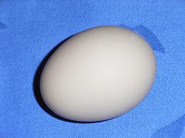 Frei rollendes Hühnerei